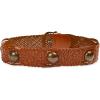 imageSam Edelman Womens Wide Width Fashion Belts for Dresses and SkirtsTan