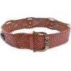 imageSam Edelman Womens Wide Width Fashion Belts for Dresses and SkirtsTan